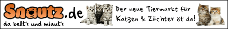 banner-katzen-468x60